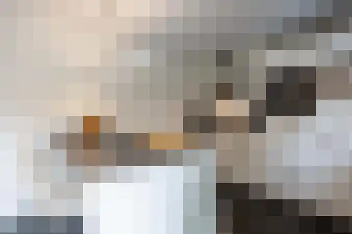 Groene Zoom 26 Roden thumbnail 31