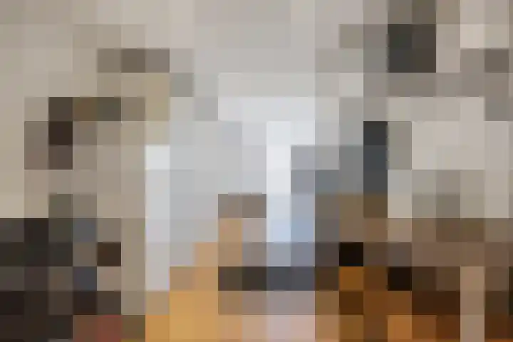 Groene Zoom 26 Roden thumbnail 36