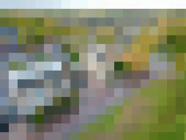 Groene Zoom 26 Roden thumbnail 4