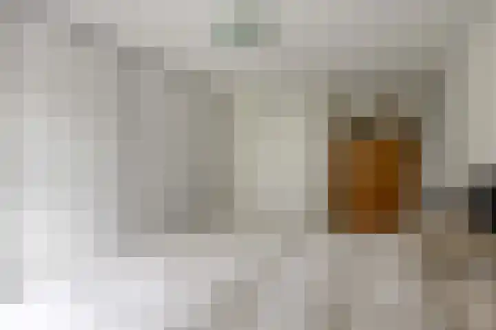 Groene Zoom 26 Roden thumbnail 43