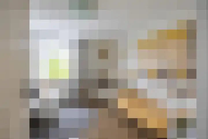 Groene Zoom 26 Roden thumbnail 44