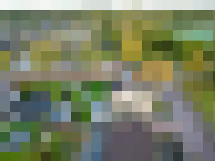Groene Zoom 26 Roden thumbnail 5