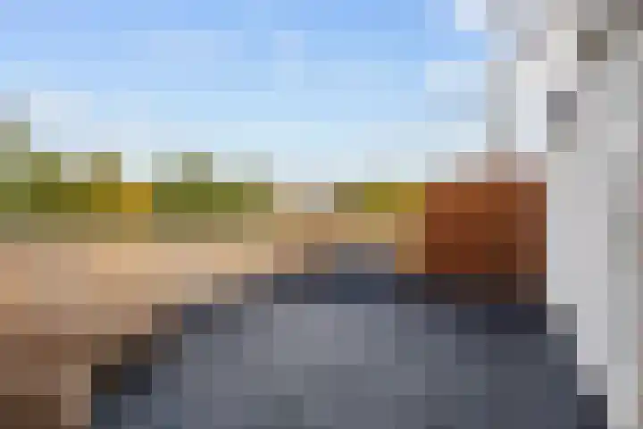Groene Zoom 26 Roden thumbnail 56