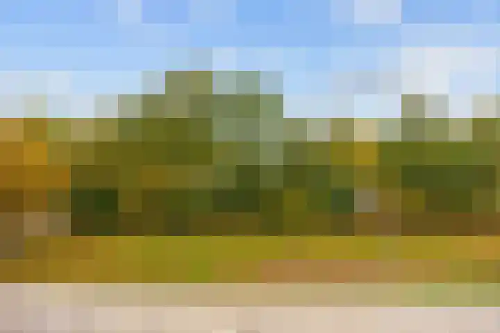 Groene Zoom 26 Roden thumbnail 59