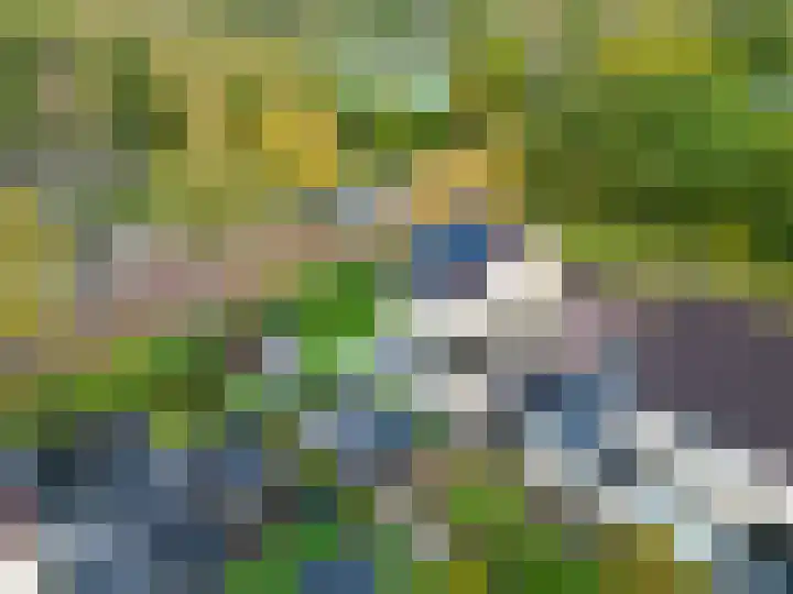 Groene Zoom 26 Roden thumbnail 6