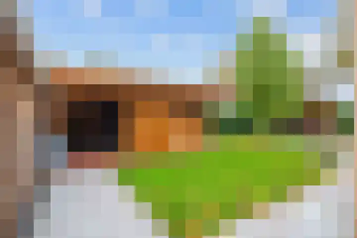 Groene Zoom 26 Roden thumbnail 61