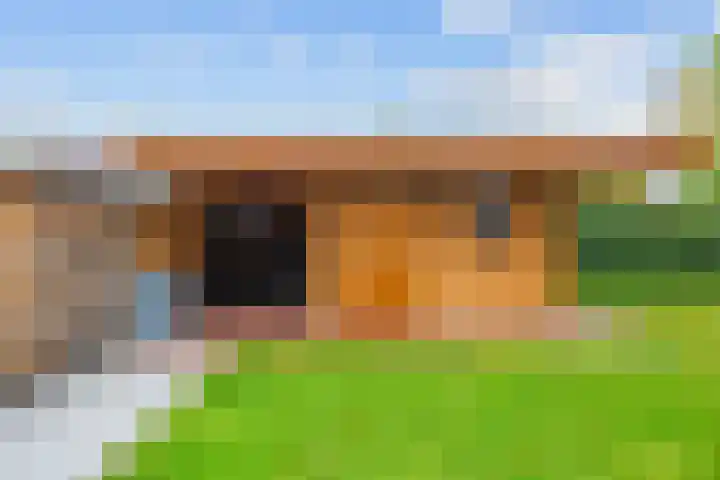Groene Zoom 26 Roden thumbnail 62