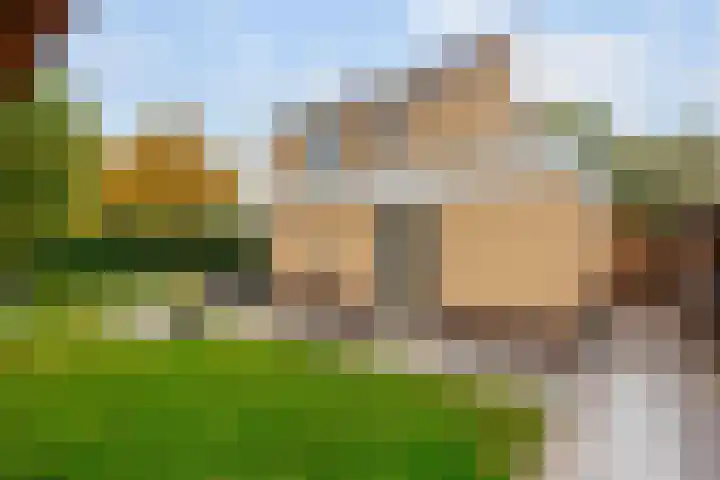 Groene Zoom 26 Roden thumbnail 63