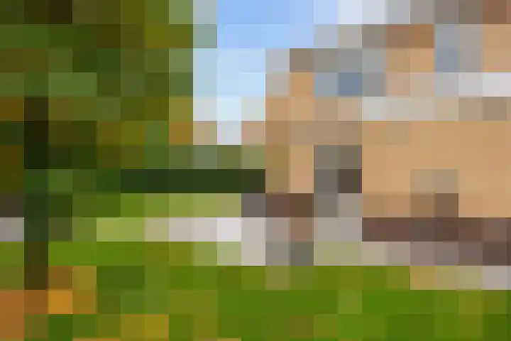 Groene Zoom 26 Roden thumbnail 65