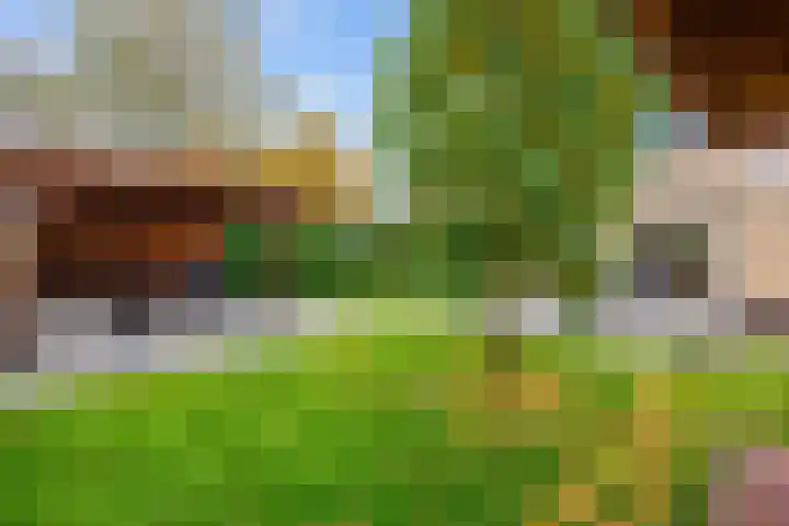 Groene Zoom 26 Roden thumbnail 66