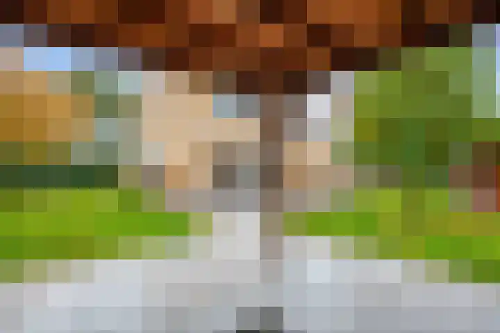 Groene Zoom 26 Roden thumbnail 68