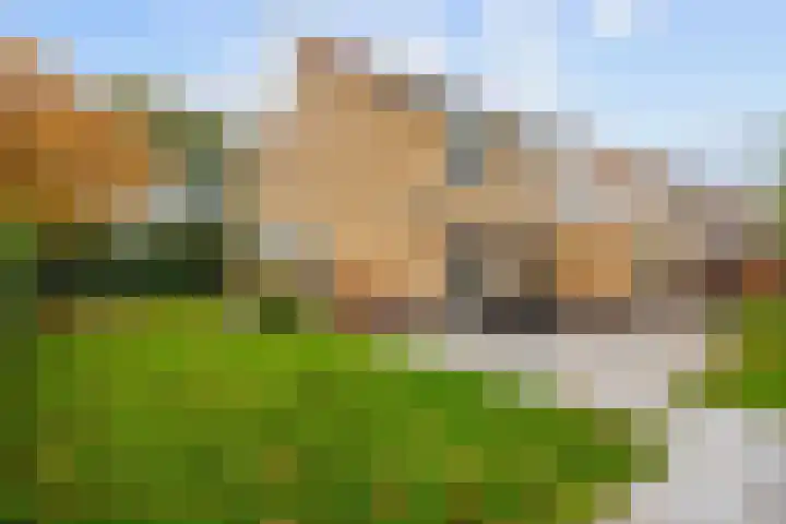 Groene Zoom 26 Roden thumbnail 69