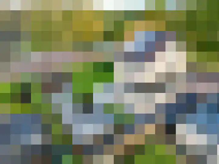 Groene Zoom 26 Roden thumbnail 7