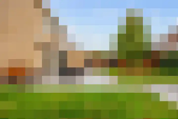 Groene Zoom 26 Roden thumbnail 70