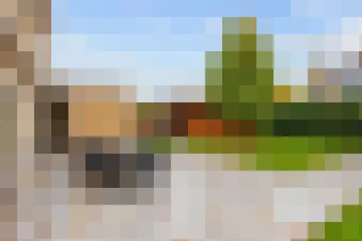 Groene Zoom 26 Roden thumbnail 71