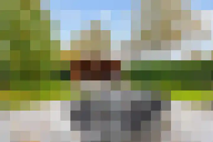Groene Zoom 26 Roden thumbnail 72
