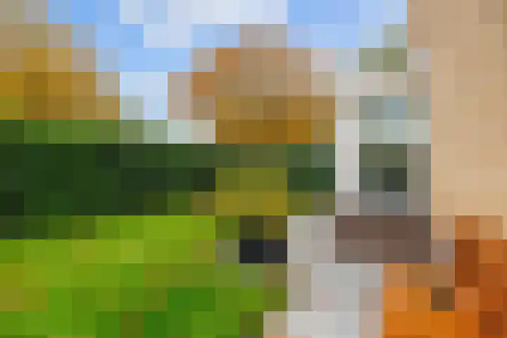 Groene Zoom 26 Roden thumbnail 73