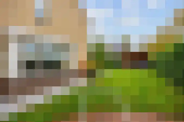 Groene Zoom 26 Roden thumbnail 74
