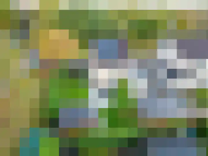 Groene Zoom 26 Roden thumbnail 8