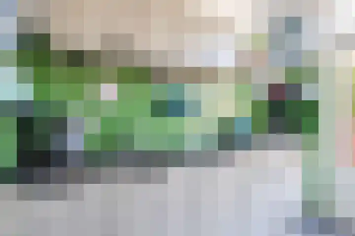 Groene Zoom 59 Bodegraven thumbnail 17
