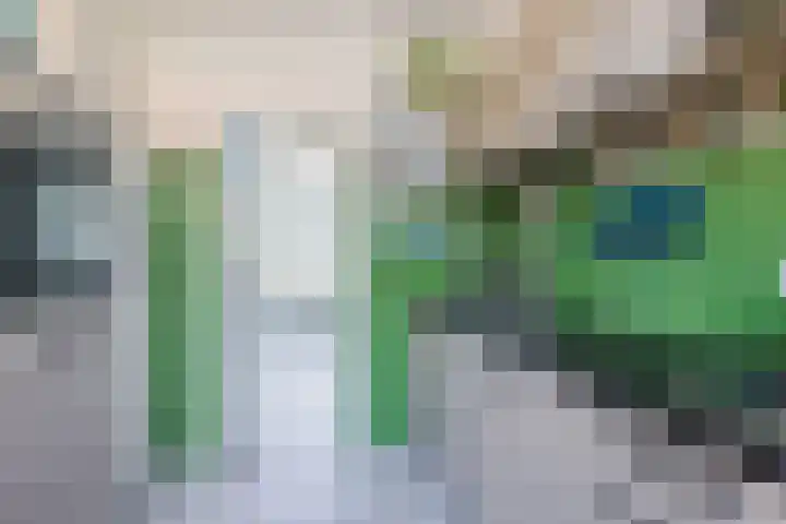 Groene Zoom 59 Bodegraven thumbnail 18