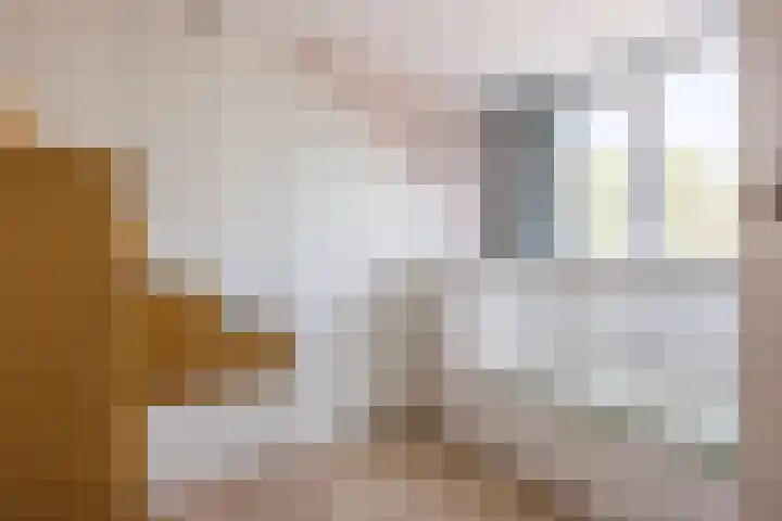 Groene Zoom 59 Bodegraven thumbnail 31