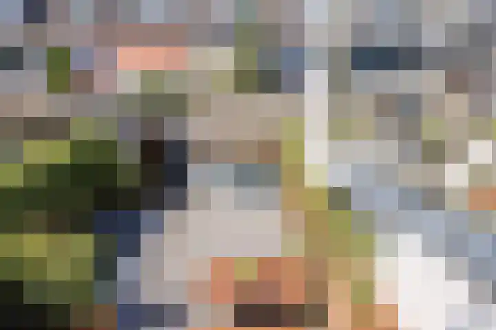 Groene Zoom 59 Bodegraven thumbnail 36