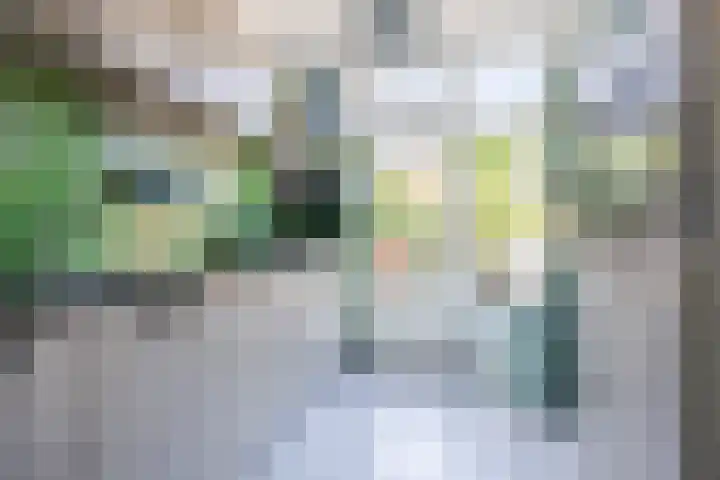Groene Zoom 59 Bodegraven thumbnail 4