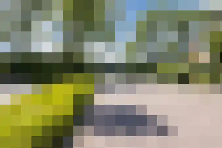 Groene Zoom 59 Bodegraven thumbnail 44