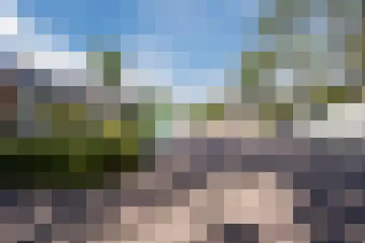 Groene Zoom 59 Bodegraven thumbnail 45