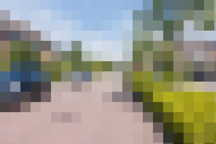 Groene Zoom 59 Bodegraven thumbnail 46