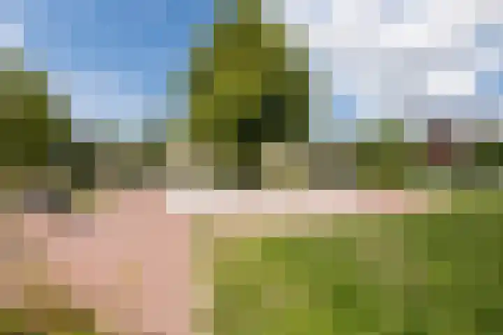 Groene Zoom 59 Bodegraven thumbnail 47