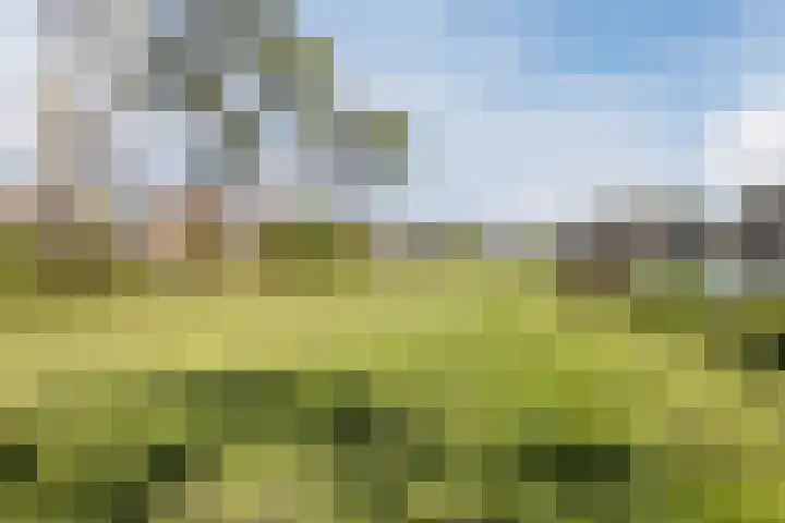 Groene Zoom 59 Bodegraven thumbnail 50