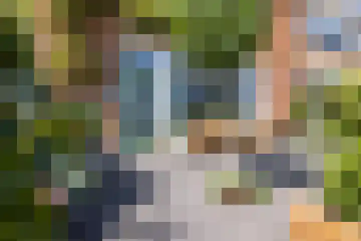 Groene Zoom 59 Bodegraven thumbnail 6
