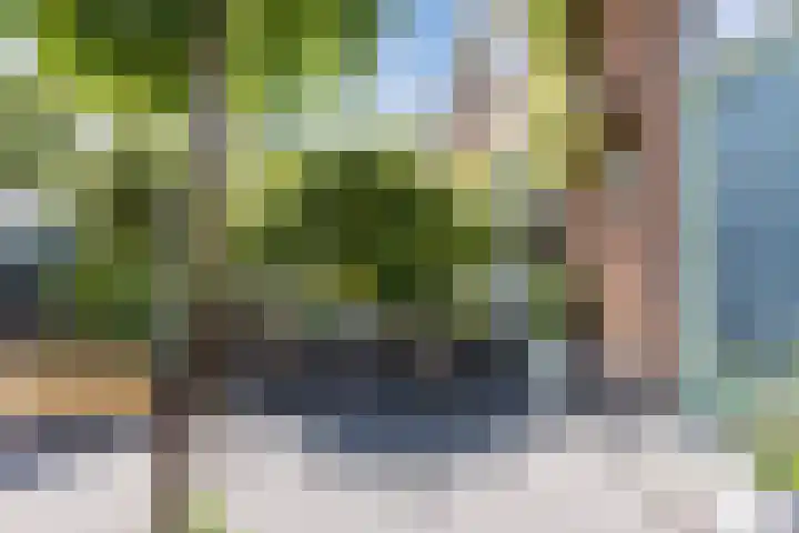 Groene Zoom 59 Bodegraven thumbnail 7