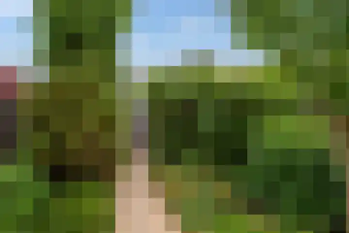 Groene Zoom 6 Delft thumbnail 11