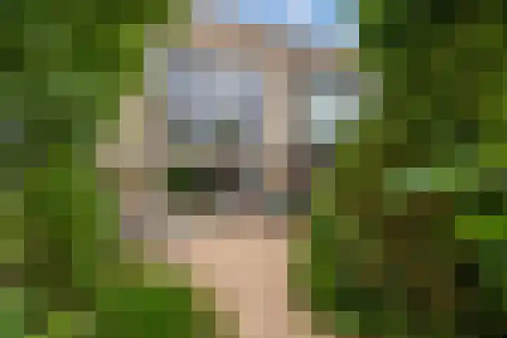 Groene Zoom 6 Delft thumbnail 12