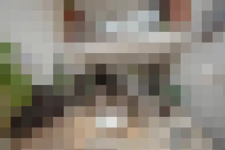 Groene Zoom 6 Delft thumbnail 13