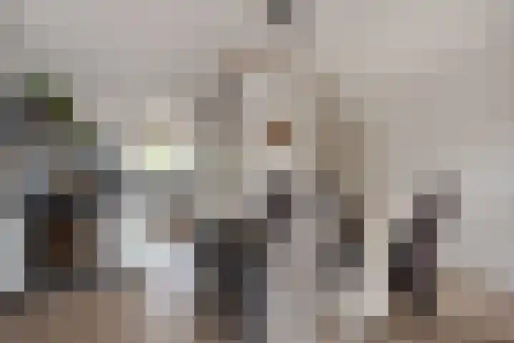 Groene Zoom 6 Delft thumbnail 14