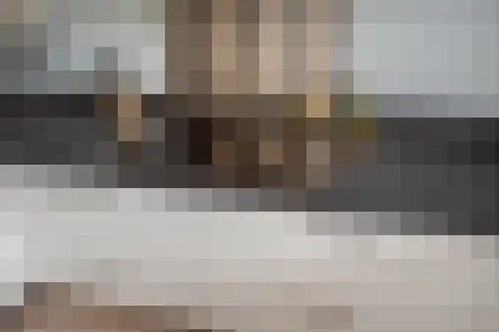 Groene Zoom 6 Delft thumbnail 19