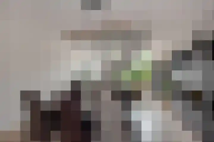 Groene Zoom 6 Delft thumbnail 20