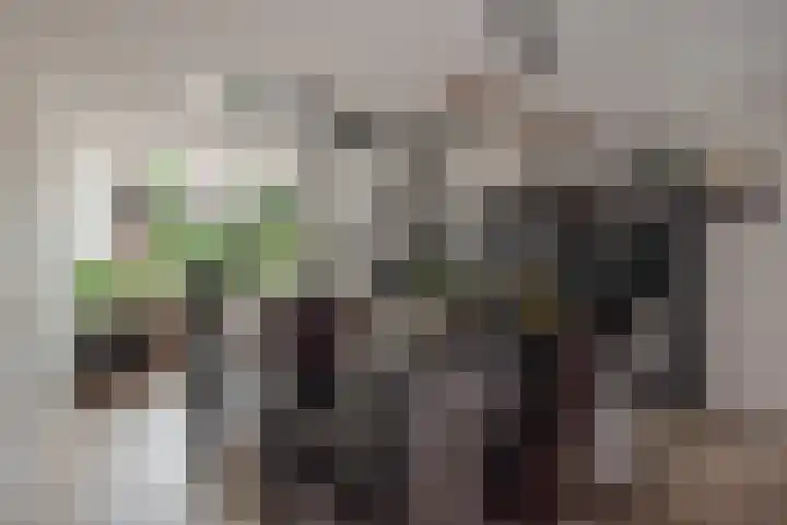 Groene Zoom 6 Delft thumbnail 21