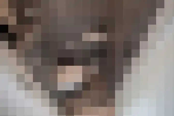 Groene Zoom 6 Delft thumbnail 22