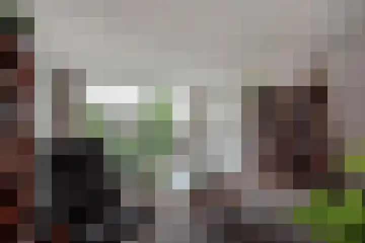 Groene Zoom 6 Delft thumbnail 26