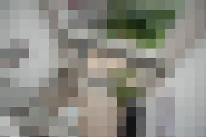 Groene Zoom 6 Delft thumbnail 27