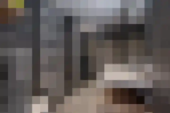 Groene Zoom 6 Delft thumbnail 28