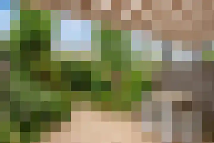 Groene Zoom 6 Delft foto 3