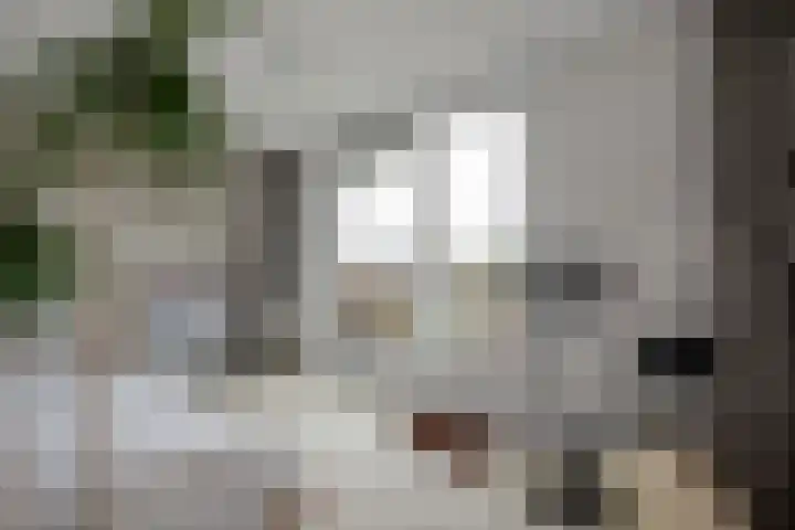 Groene Zoom 6 Delft thumbnail 33