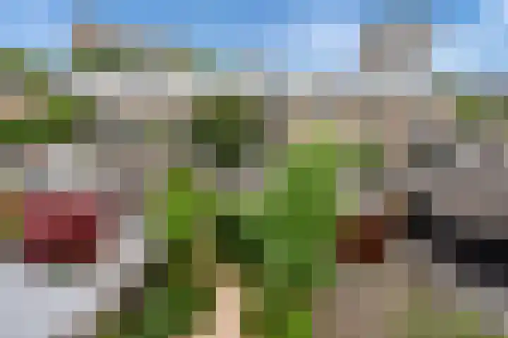 Groene Zoom 6 Delft thumbnail 35