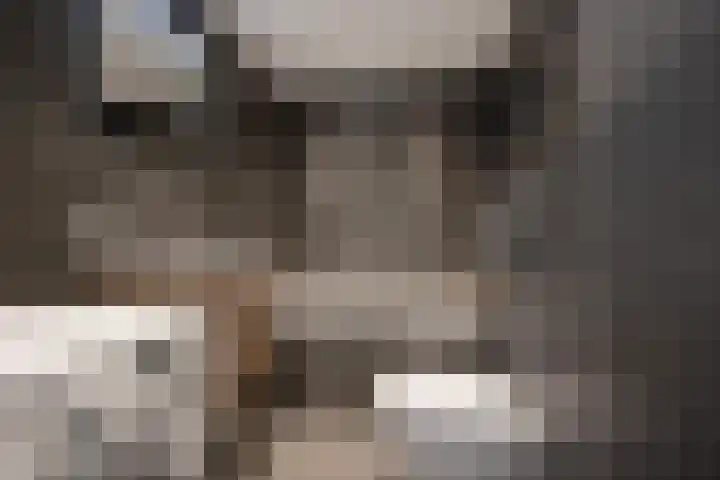 Groene Zoom 6 Delft thumbnail 36